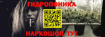 прущие грибы Гусев