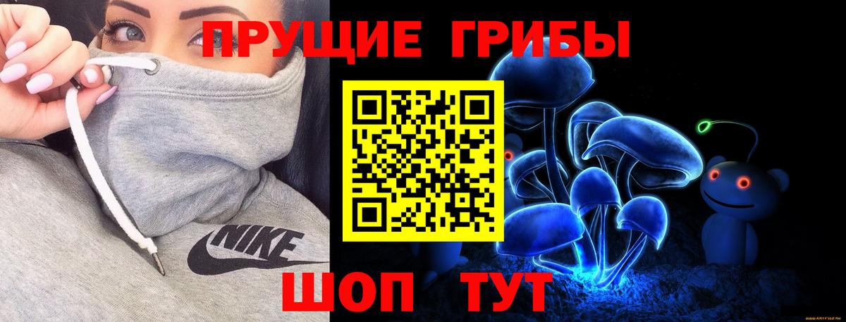 что такое   Вход с VPN  Киселёвск  Галлюциногенные грибы Psilocybe 